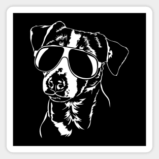 Jack Russell Terrier sunglasses cool dog Magnet